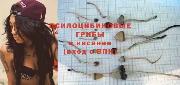 ешки Щигры