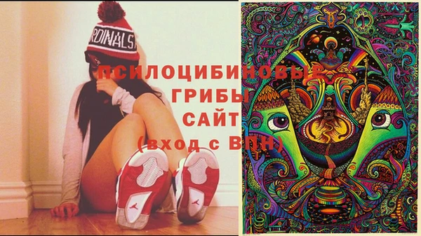 2c-b Заволжск