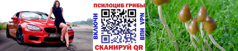 купить наркотики сайты hydra как зайти Псилоцибиновые грибы Magic Shrooms Приозерск