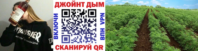 Каннабис Amnesia  Приозерск 